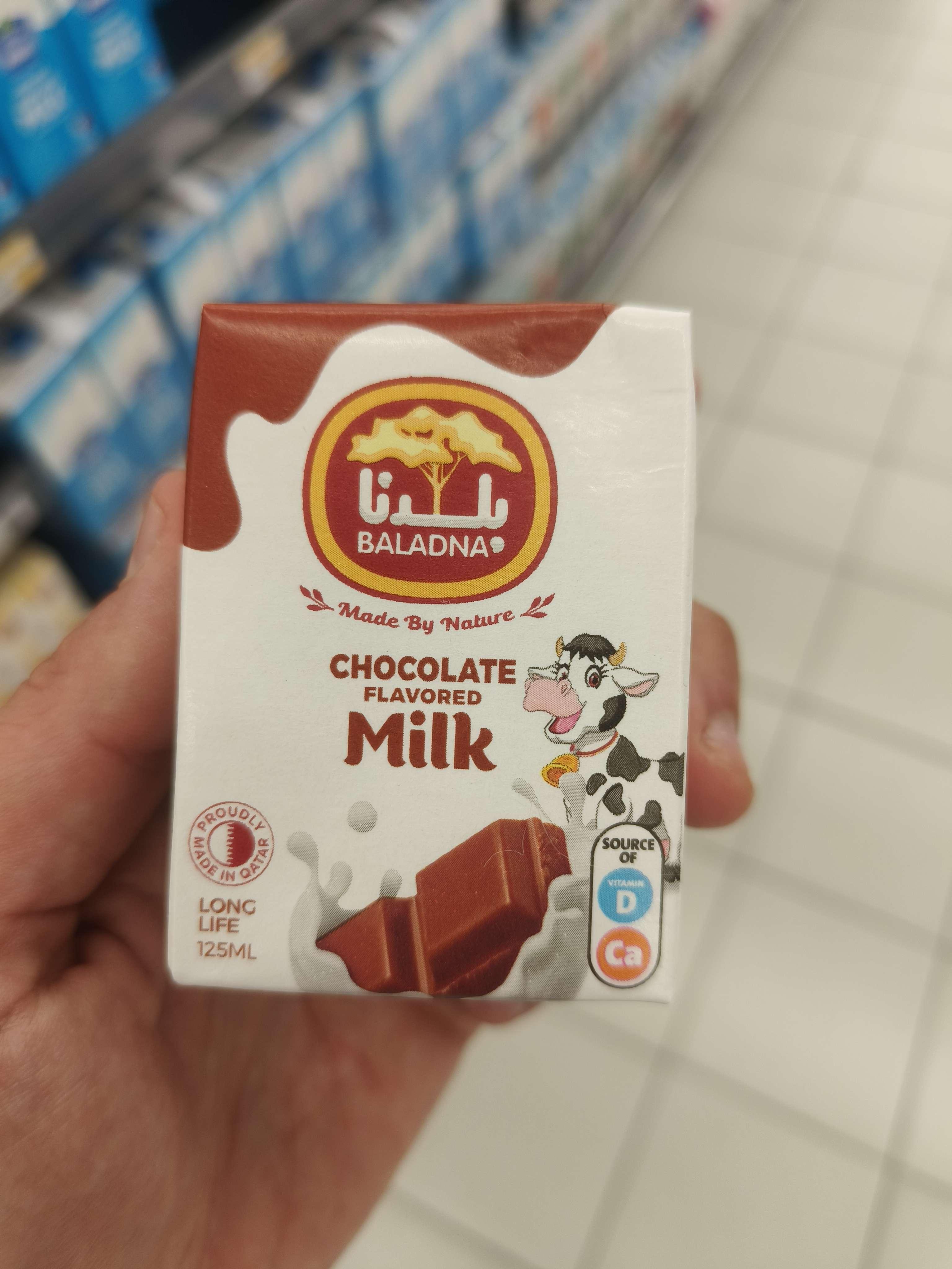Chocolate Flavored Milk 125 ml