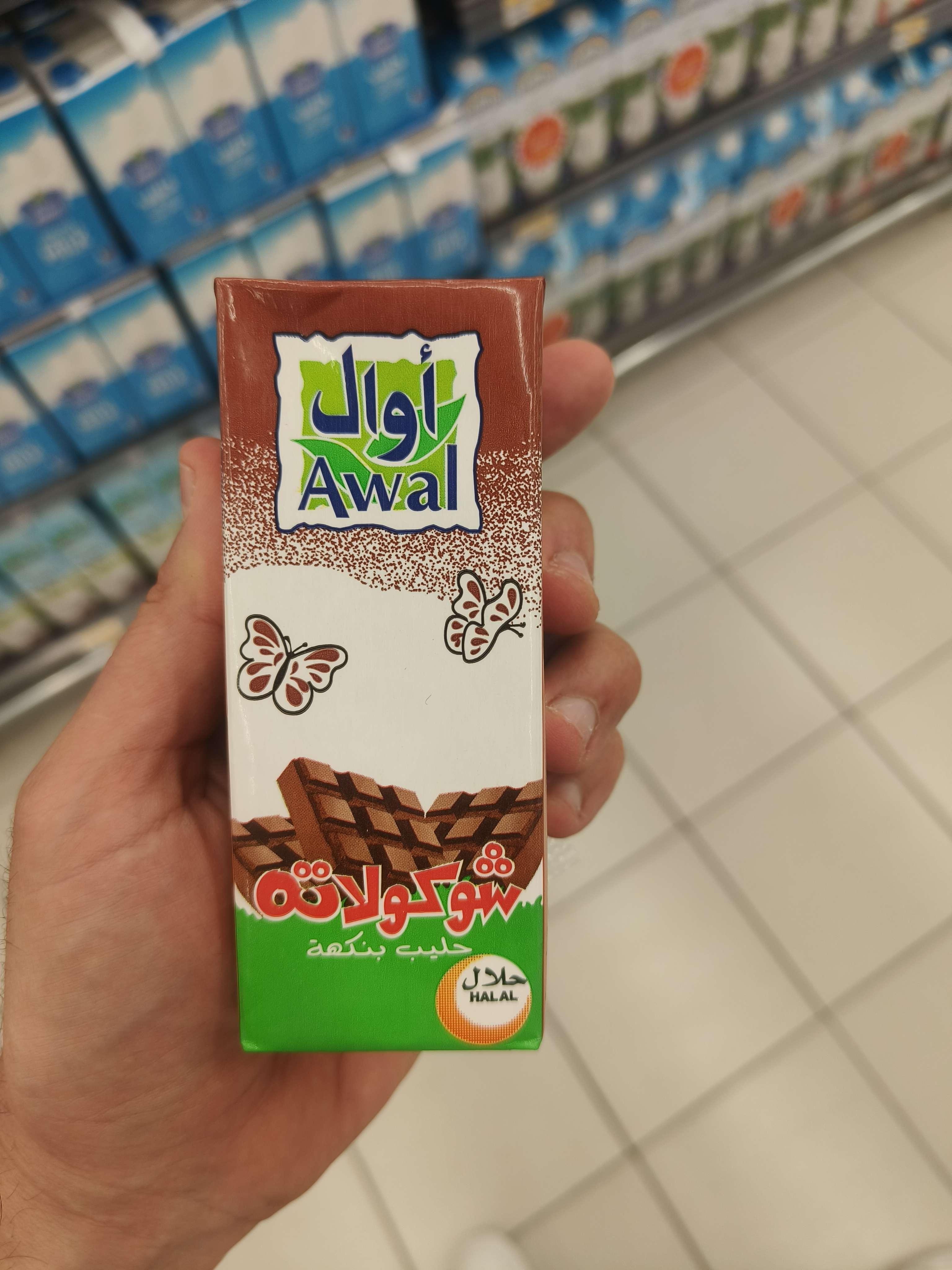 Chocolate Flavoured Milk Low Fat - Sweetened